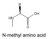 N-methyl amino acid